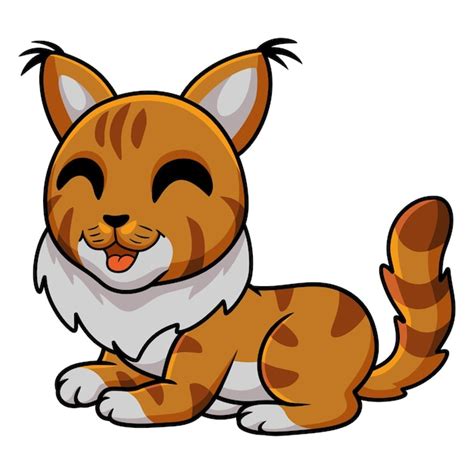 Premium Vector Cute Maine Coon Cat Cartoon