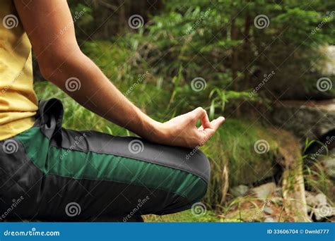 Meditation in forest stock photo. Image of hands, nature - 33606704