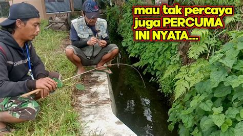 Diluar Dugaan Ternyata Selokan Pembuangan Limbah Ada Ikannya Youtube