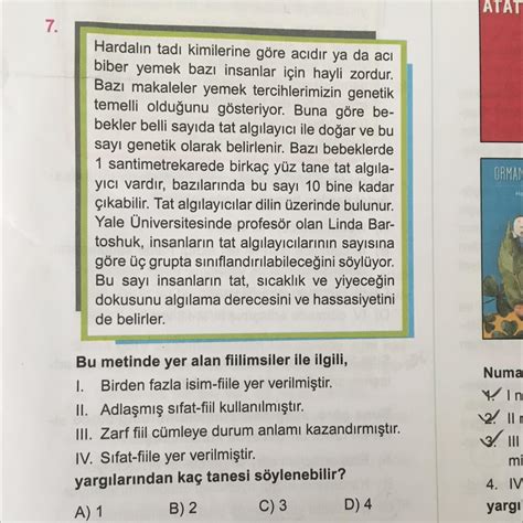 Bu Metinde Yer Alan Fiilimsiler Ile Ilgili Birden Fazla Isim Fiile