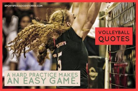 107 Volleyball Quotes To Elevate Your Game | Sports Feel Good Stories