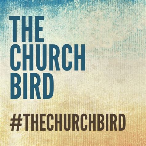 church bird atthechurchbird twitter