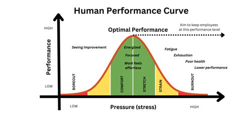 How To Build Better High Performing Teams With Optimal Effort