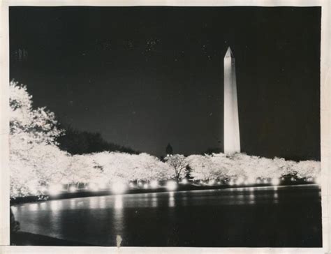 1934 Washington Monument During Cherry Blossom Festival Stan S Katz