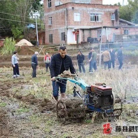 人勤春早 藤县奏响春耕备耕曲水稻建设农田