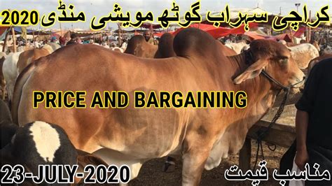 Cow Mandi Price Update Maweshi Mandi Sohrab Ghoth Karachi July