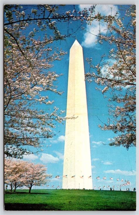 Washington Monument Cherry Blossom Time Dc Us Flags Historic Shrine