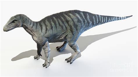 Iguanodon Photograph By Sebastian Kaulitzkiscience Photo Library