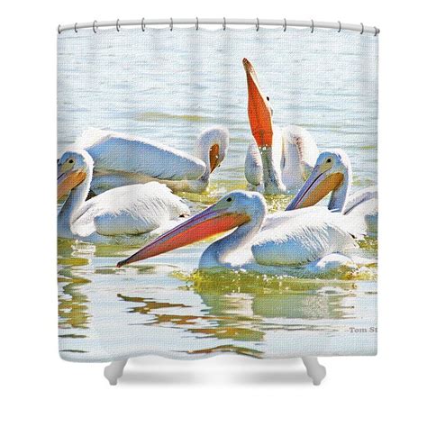 White Pelicans Visiting Gilbert Riparian Preserve Shower Curtain By Tom