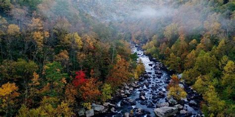 Virginia Hunting Seasons