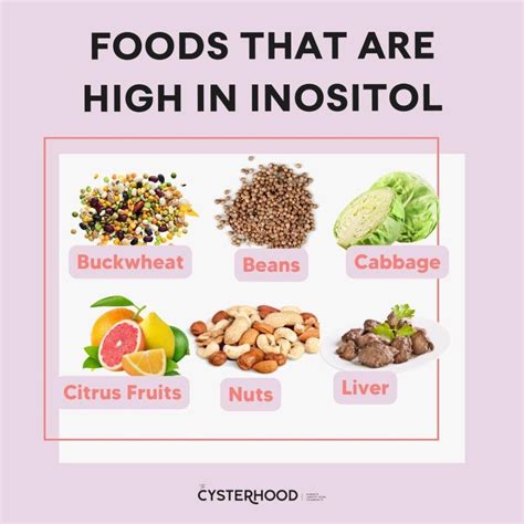 What Foods Are High In Inositol PCOS Weightloss