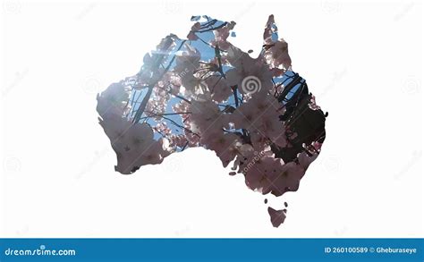 Artistic Australia, Colors, Patterned, Nation, Isolated. Stock Video ...