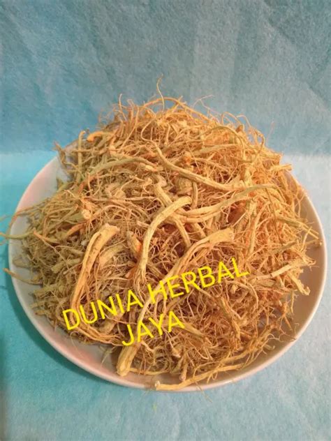 Akar Ginseng Premium 25gram Yang Shen Xu Yio Som Chiu Lazada Indonesia