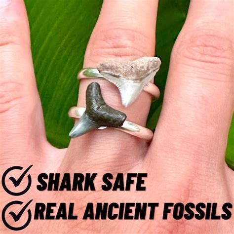 Shark Tooth Ring Etsy