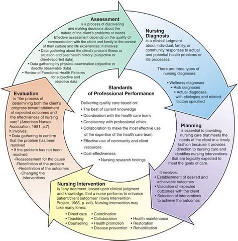 The Nursing Process Diagram The Nursing Process