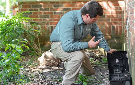 Rodent Control | Effective Pest Management Service Options