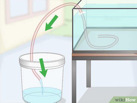 Ways To Start A Siphon Fish Tank Wikihow