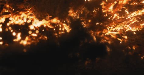 fire particles       stock video footage