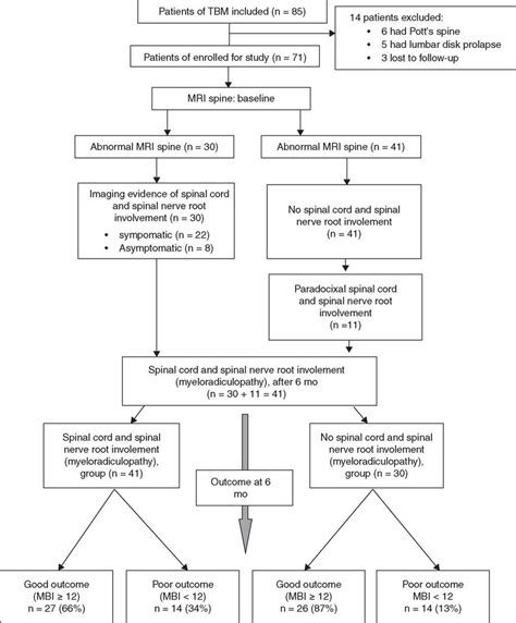 Flow Chart Of The Study Mbi Modified Barthel Index Tbm Tuberculous