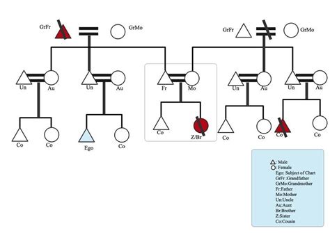 Understanding Kinship Diagram Template For Free Sample Example