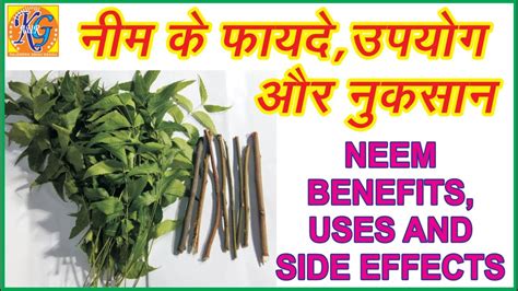 Neem Benefits Uses And Side Effects Neem Ke Fayde Upyog Aur Nuksan In Hindi By Rajendra Singh