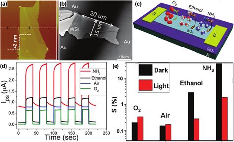 AFM A And SEM Image B Of The Actual Transistor Based On Multilayer