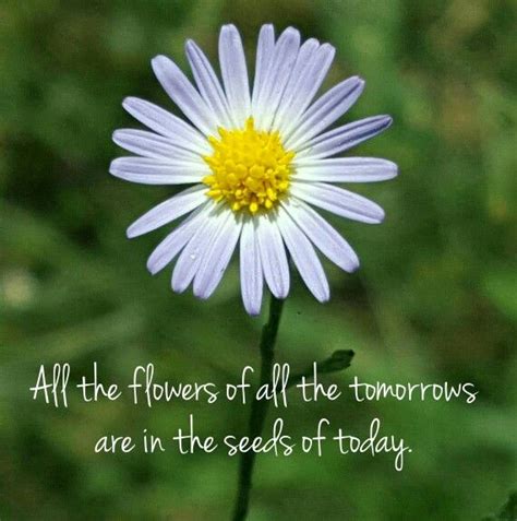 All The Flowers Of All The Tomorrows Are In The Seeds Of Today