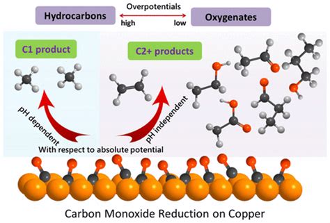 Electrochemical Carbon Monoxide Reduction On Polycrystalline Copper