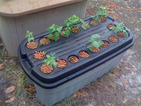 Easy 25 Diy Hydroponic Gardening Ideas That You Could Do Yourself Hydroponics Diy Hydroponic