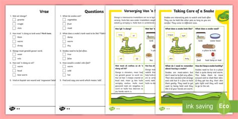 How To Look After A Snake Differentiated Reading Comprehension Activity