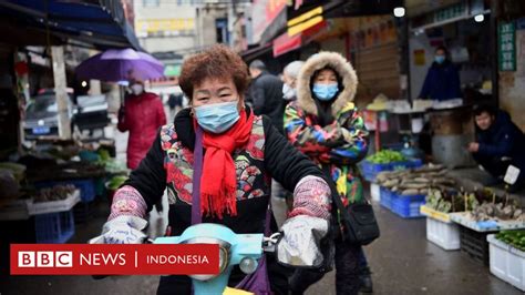 Covid Sempat Ditolak Tim Penyelidik Asal Usul Virus Corona Who