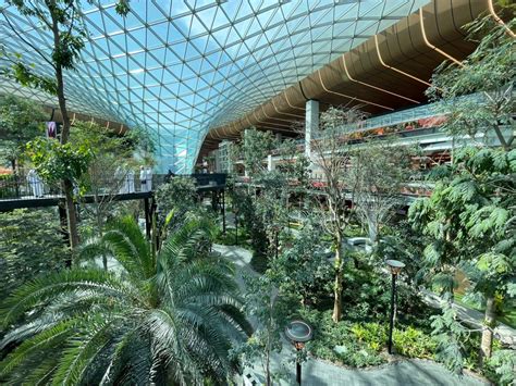 Hamad International Airport Expands With Stunning Indoor Tropical Garden Ahead Of Qatar 2022