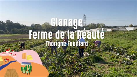 Élus des territoires glanage à la ferme de la Réauté Thorigné