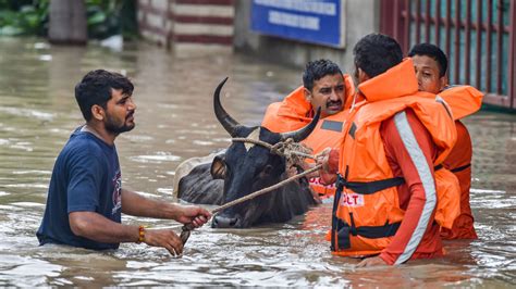 Delhi Battles Flood As Yamuna Above 208 6m How To Check The River S