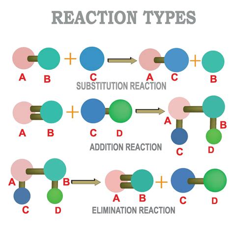 organic reaction types 27798458 Vector Art at Vecteezy