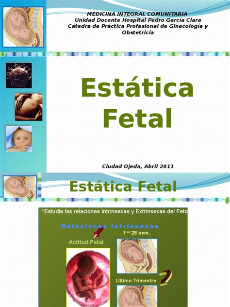 4 Estatica Fetal Pdf Anatomía Cuerpo Humano