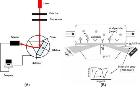 A Schematic Diagram Of The Surface Plasmon Resonance Spr Instrument Download Scientific