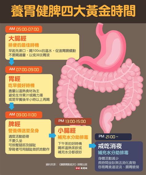 今日最健康》腸子比自己老10歲？一表測腸齡 屁臭很不妙 健康 中時新聞網