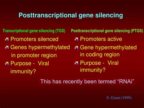 Ppt Post Transcriptional Gene Silencing Powerpoint Presentation Free Download Id 759037