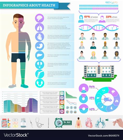 Infographic Examples Healthcare