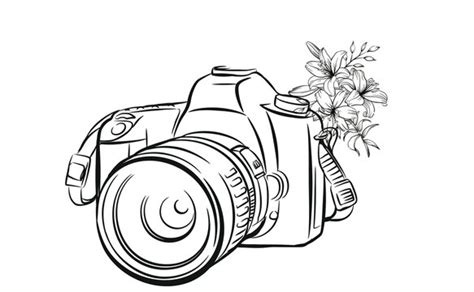 Digital Camera clip art Clipart for Free Download | FreeImages - Clip ...