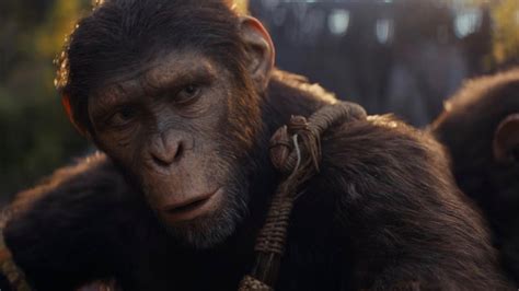 Kingdom Planet Of The Apes 2024 Director - Arda Mandie