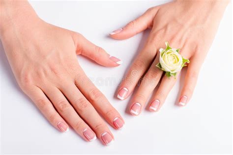 Belle Mani Femminili Con Il Manicure Francese Della Luna Immagine Stock