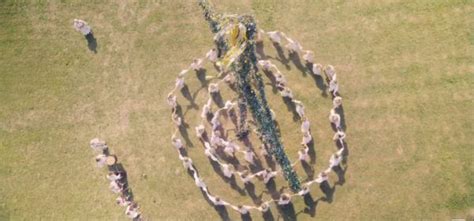 Midsommar Mythology Explained From Runes To Ritual Sacrifice