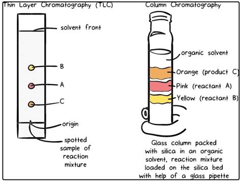 Chromatography Introduction Principle Classification And Applications