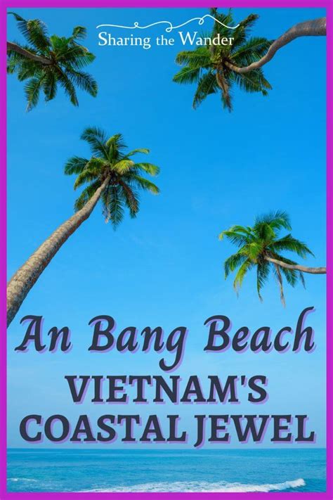 An Bang Beach A 2024 Guide To Hoi An Vietnam S Best Beach