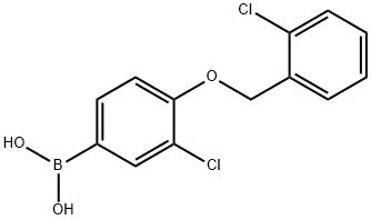 3 Chloro 4 2 Chlorobenzyl Oxy Phenyl Boronic Acid CAS 870777 26 7