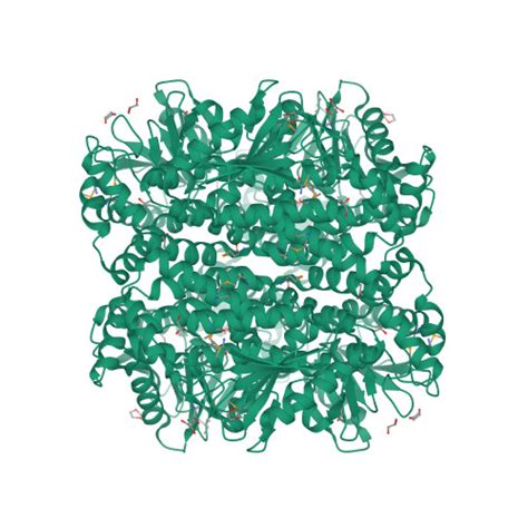 RCSB PDB 1UIY Crystal Structure Of Enoyl CoA Hydratase From Thermus