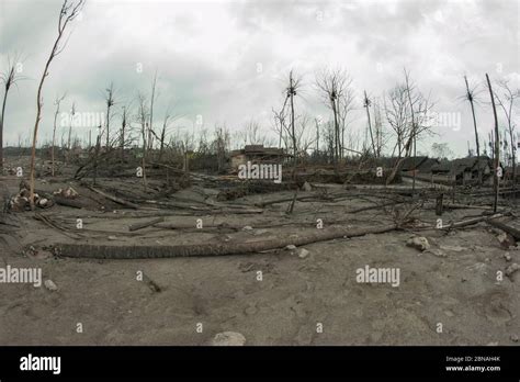 Campos Cubiertos De Cenizas Casas Da Adas Y Rboles Muertos Del Volc N