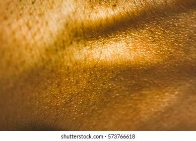 Goose Bumps On Human Skin Closeup Stock Photo (Edit Now) 573761458